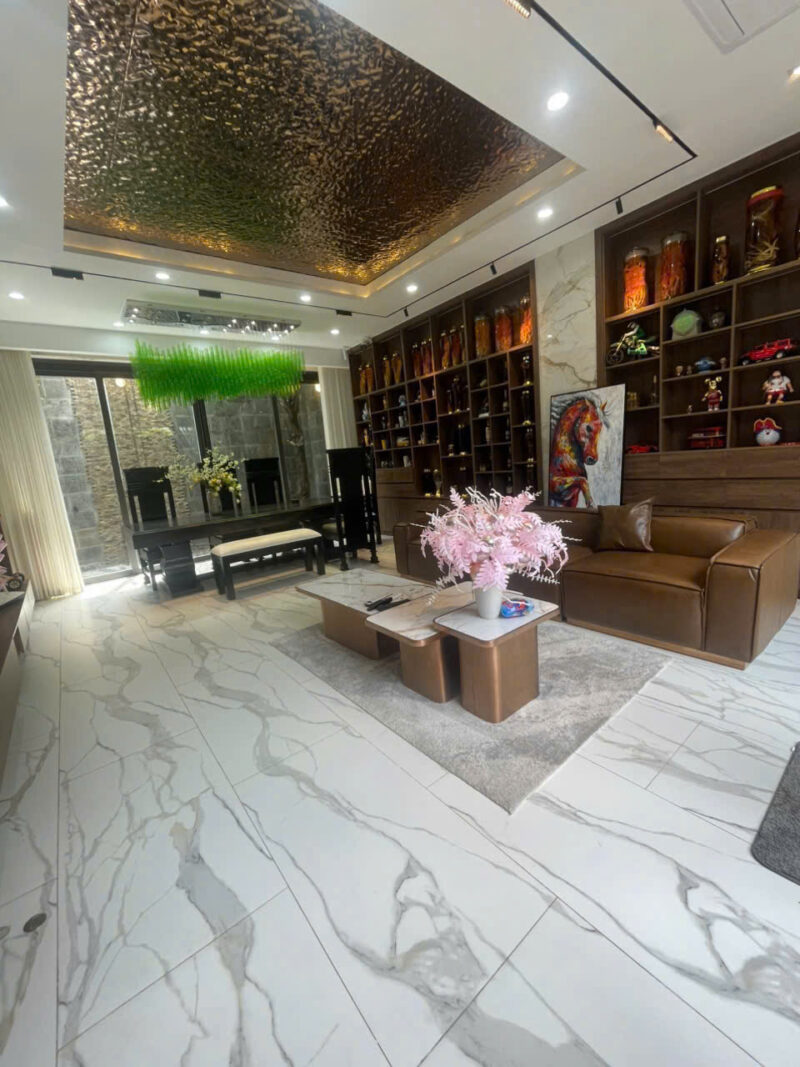 🌿 Biệt thự cao cấp có hồ bơi, gara ô tô – KDC Nam Long 2, TP. Cần Thơ 🌿