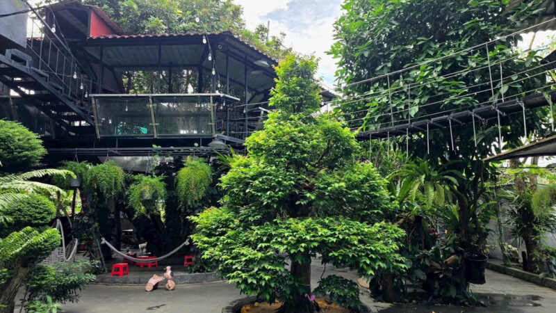 ⚠️SIÊU PHẨM⚠️  ☘️☘️☘️  KHU SINH THÁI NGHỈ DƯỠNG - MẶT TIỀN ĐƯỜNG TRƯƠNG VĨNH NGUYÊN, P. PHÚ THỨ, Q. CÁI RĂNG, TP. CẦN THƠ.