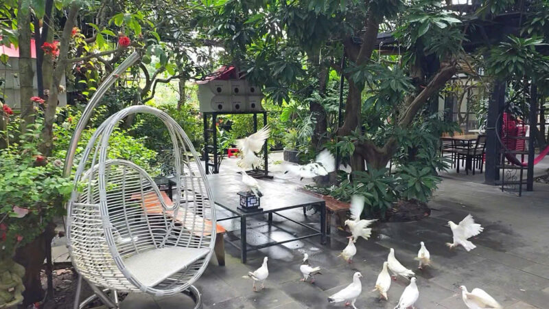 ⚠️SIÊU PHẨM⚠️  ☘️☘️☘️  KHU SINH THÁI NGHỈ DƯỠNG - MẶT TIỀN ĐƯỜNG TRƯƠNG VĨNH NGUYÊN, P. PHÚ THỨ, Q. CÁI RĂNG, TP. CẦN THƠ.