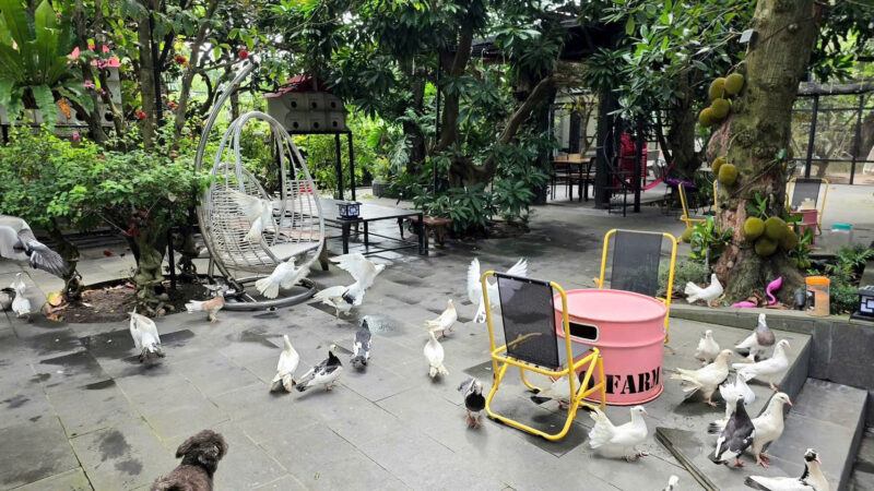 ⚠️SIÊU PHẨM⚠️  ☘️☘️☘️  KHU SINH THÁI NGHỈ DƯỠNG - MẶT TIỀN ĐƯỜNG TRƯƠNG VĨNH NGUYÊN, P. PHÚ THỨ, Q. CÁI RĂNG, TP. CẦN THƠ.