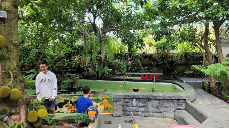 ⚠️SIÊU PHẨM⚠️  ☘️☘️☘️  KHU SINH THÁI NGHỈ DƯỠNG - MẶT TIỀN ĐƯỜNG TRƯƠNG VĨNH NGUYÊN, P. PHÚ THỨ, Q. CÁI RĂNG, TP. CẦN THƠ.