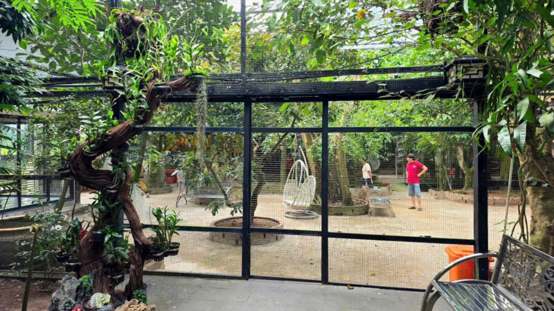 ⚠️SIÊU PHẨM⚠️  ☘️☘️☘️  KHU SINH THÁI NGHỈ DƯỠNG - MẶT TIỀN ĐƯỜNG TRƯƠNG VĨNH NGUYÊN, P. PHÚ THỨ, Q. CÁI RĂNG, TP. CẦN THƠ.