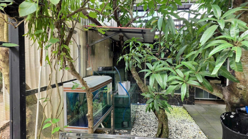⚠️SIÊU PHẨM⚠️  ☘️☘️☘️  KHU SINH THÁI NGHỈ DƯỠNG - MẶT TIỀN ĐƯỜNG TRƯƠNG VĨNH NGUYÊN, P. PHÚ THỨ, Q. CÁI RĂNG, TP. CẦN THƠ.