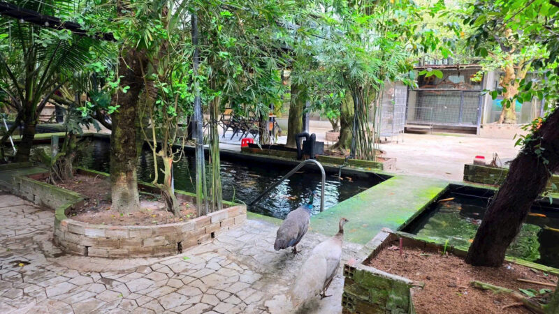 ⚠️SIÊU PHẨM⚠️  ☘️☘️☘️  KHU SINH THÁI NGHỈ DƯỠNG - MẶT TIỀN ĐƯỜNG TRƯƠNG VĨNH NGUYÊN, P. PHÚ THỨ, Q. CÁI RĂNG, TP. CẦN THƠ.