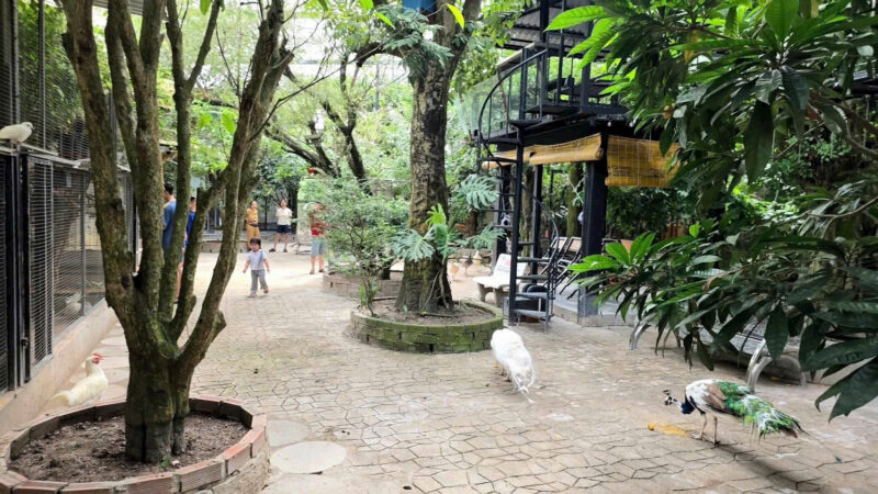 ⚠️SIÊU PHẨM⚠️  ☘️☘️☘️  KHU SINH THÁI NGHỈ DƯỠNG - MẶT TIỀN ĐƯỜNG TRƯƠNG VĨNH NGUYÊN, P. PHÚ THỨ, Q. CÁI RĂNG, TP. CẦN THƠ.