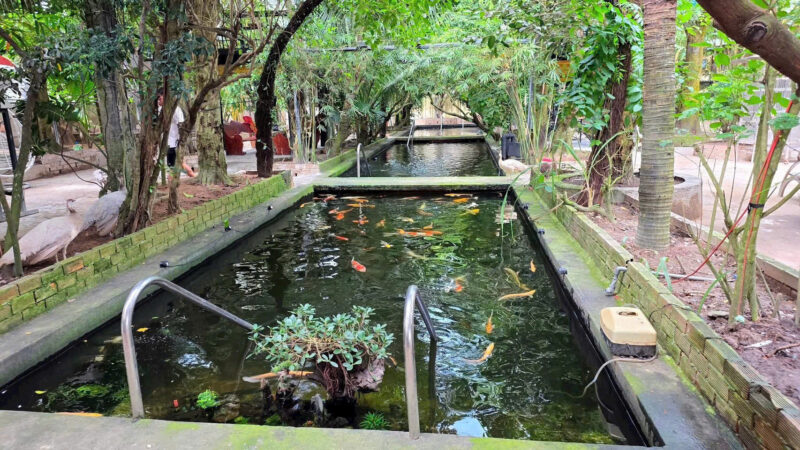 ⚠️SIÊU PHẨM⚠️  ☘️☘️☘️  KHU SINH THÁI NGHỈ DƯỠNG - MẶT TIỀN ĐƯỜNG TRƯƠNG VĨNH NGUYÊN, P. PHÚ THỨ, Q. CÁI RĂNG, TP. CẦN THƠ.