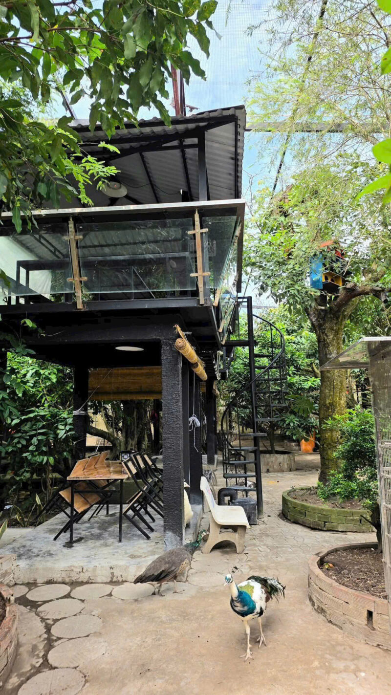 ⚠️SIÊU PHẨM⚠️  ☘️☘️☘️  KHU SINH THÁI NGHỈ DƯỠNG - MẶT TIỀN ĐƯỜNG TRƯƠNG VĨNH NGUYÊN, P. PHÚ THỨ, Q. CÁI RĂNG, TP. CẦN THƠ.