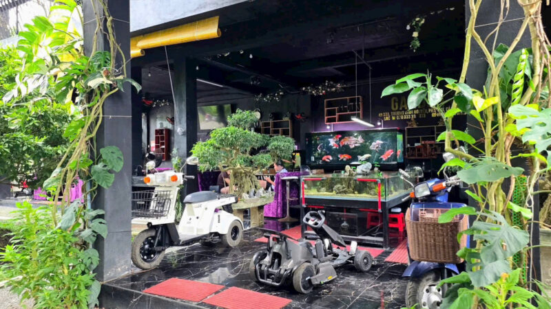⚠️SIÊU PHẨM⚠️  ☘️☘️☘️  KHU SINH THÁI NGHỈ DƯỠNG - MẶT TIỀN ĐƯỜNG TRƯƠNG VĨNH NGUYÊN, P. PHÚ THỨ, Q. CÁI RĂNG, TP. CẦN THƠ.