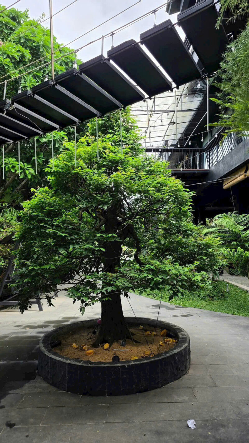 ⚠️SIÊU PHẨM⚠️  ☘️☘️☘️  KHU SINH THÁI NGHỈ DƯỠNG - MẶT TIỀN ĐƯỜNG TRƯƠNG VĨNH NGUYÊN, P. PHÚ THỨ, Q. CÁI RĂNG, TP. CẦN THƠ.