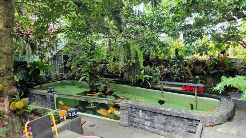 ⚠️SIÊU PHẨM⚠️  ☘️☘️☘️  KHU SINH THÁI NGHỈ DƯỠNG - MẶT TIỀN ĐƯỜNG TRƯƠNG VĨNH NGUYÊN, P. PHÚ THỨ, Q. CÁI RĂNG, TP. CẦN THƠ.