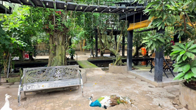 ⚠️SIÊU PHẨM⚠️  ☘️☘️☘️  KHU SINH THÁI NGHỈ DƯỠNG - MẶT TIỀN ĐƯỜNG TRƯƠNG VĨNH NGUYÊN, P. PHÚ THỨ, Q. CÁI RĂNG, TP. CẦN THƠ.