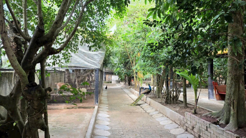 ⚠️SIÊU PHẨM⚠️  ☘️☘️☘️  KHU SINH THÁI NGHỈ DƯỠNG - MẶT TIỀN ĐƯỜNG TRƯƠNG VĨNH NGUYÊN, P. PHÚ THỨ, Q. CÁI RĂNG, TP. CẦN THƠ.