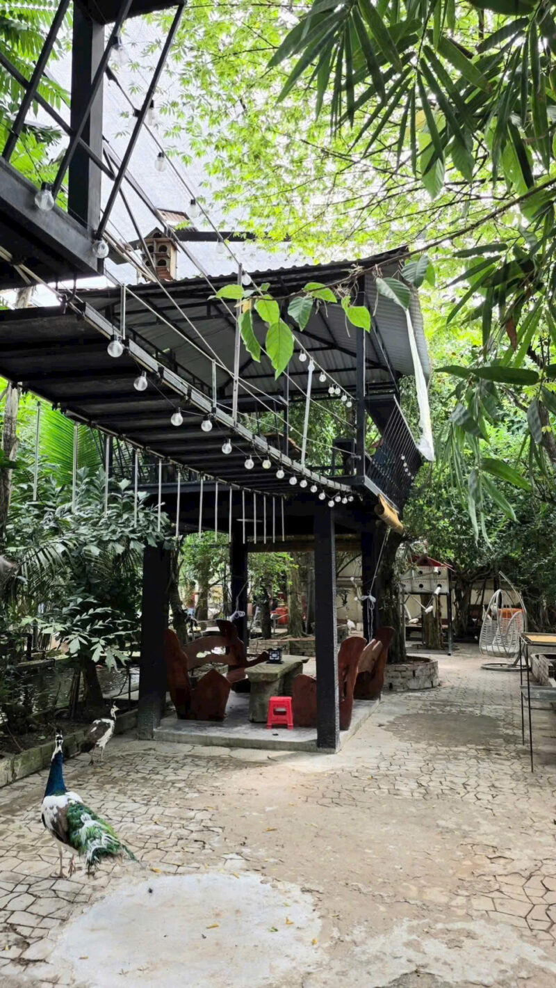 ⚠️SIÊU PHẨM⚠️  ☘️☘️☘️  KHU SINH THÁI NGHỈ DƯỠNG - MẶT TIỀN ĐƯỜNG TRƯƠNG VĨNH NGUYÊN, P. PHÚ THỨ, Q. CÁI RĂNG, TP. CẦN THƠ.