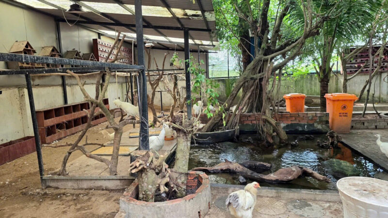 ⚠️SIÊU PHẨM⚠️  ☘️☘️☘️  KHU SINH THÁI NGHỈ DƯỠNG - MẶT TIỀN ĐƯỜNG TRƯƠNG VĨNH NGUYÊN, P. PHÚ THỨ, Q. CÁI RĂNG, TP. CẦN THƠ.