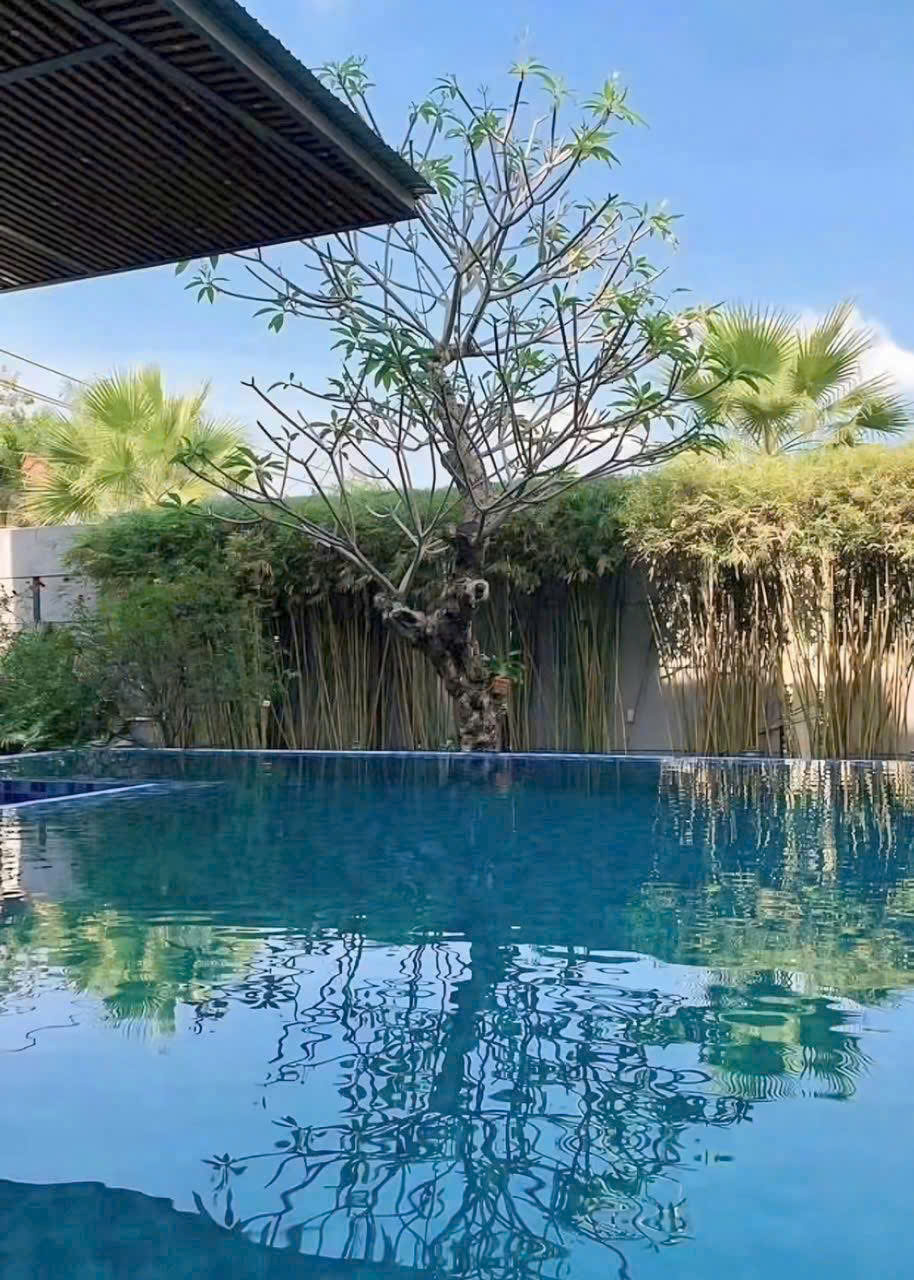 ⚠️VIP⚠️  ☘️☘️☘️  BIỆT THỰ SÂN VƯỜN GÓC 2 MẶT TIỀN ĐƯỜNG PHẠM CÔNG TRỨ, KHU BIỆT THỰ CỔN KHƯƠNG, P.CÁI KHẾ, Q.NINH KIỀU, CẦN THƠ ⚠️VIP⚠️  ☘️☘️☘️  BIỆT THỰ SÂN VƯỜN GÓC 2 MẶT TIỀN ĐƯỜNG PHẠM CÔNG TRỨ, KHU BIỆT THỰ CỔN KHƯƠNG, P.CÁI KHẾ, Q.NINH KIỀU, CẦN THƠ