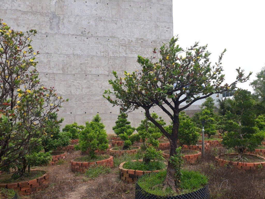 ❌BÁN GẤP❌ ☘️☘️☘️ BÁN 5025,6m2 ĐẤT 2 MẶT TIỀN ĐƯỜNG TỈNH 925 (CÁI CHANH), NGÃ 6, CHÂU THÀNH, CẦN THƠ ❌BÁN GẤP❌ ☘️☘️☘️ BÁN 5025,6m2 ĐẤT 2 MẶT TIỀN ĐƯỜNG TỈNH 925 (CÁI CHANH), NGÃ 6, CHÂU THÀNH, CẦN THƠ