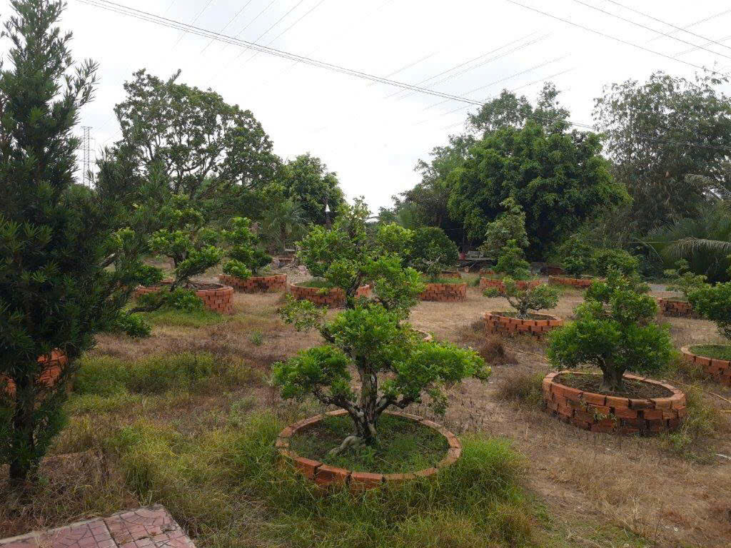 ❌BÁN GẤP❌ ☘️☘️☘️ BÁN 5025,6m2 ĐẤT 2 MẶT TIỀN ĐƯỜNG TỈNH 925 (CÁI CHANH), NGÃ 6, CHÂU THÀNH, CẦN THƠ ❌BÁN GẤP❌ ☘️☘️☘️ BÁN 5025,6m2 ĐẤT 2 MẶT TIỀN ĐƯỜNG TỈNH 925 (CÁI CHANH), NGÃ 6, CHÂU THÀNH, CẦN THƠ