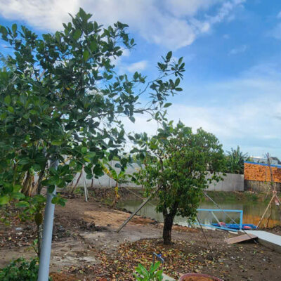 ❌HOT❌  ☘️☘️☘️  BÁN 2.600M2 ĐẤT NỞ HẬU MẶT TIỀN NGUYỄN CHÍ THANH, P.TRÀ NÓC CŨ, CẦN THƠ