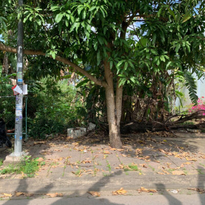 ☘️☘️☘️  CẶP NỀN ĐƯỜNG 38 ĐỐI DIỆN DỰ ÁN CHỢ KHU TĐC 2 BÊN ĐƯỜNG NGUYỄN VĂN CỪ, P.AN BÌNH, CẦN THƠ