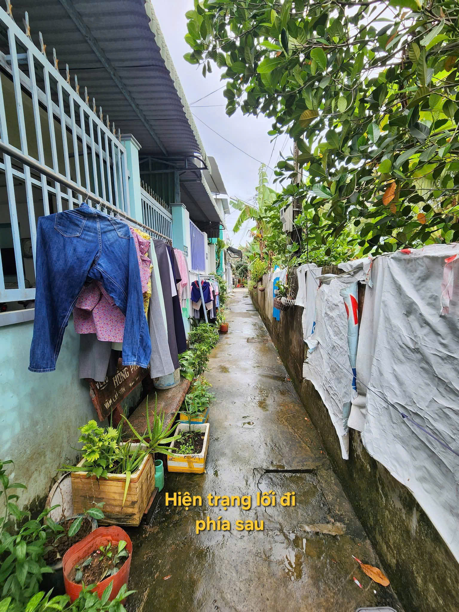 Bán dãy 18 phòng trọ và nhà cấp 4 tại hẻm 3 Trần Vĩnh Kiết, An Bình, Cần Thơ Bán dãy 18 phòng trọ và nhà cấp 4 tại hẻm 3 Trần Vĩnh Kiết, An Bình, Cần Thơ