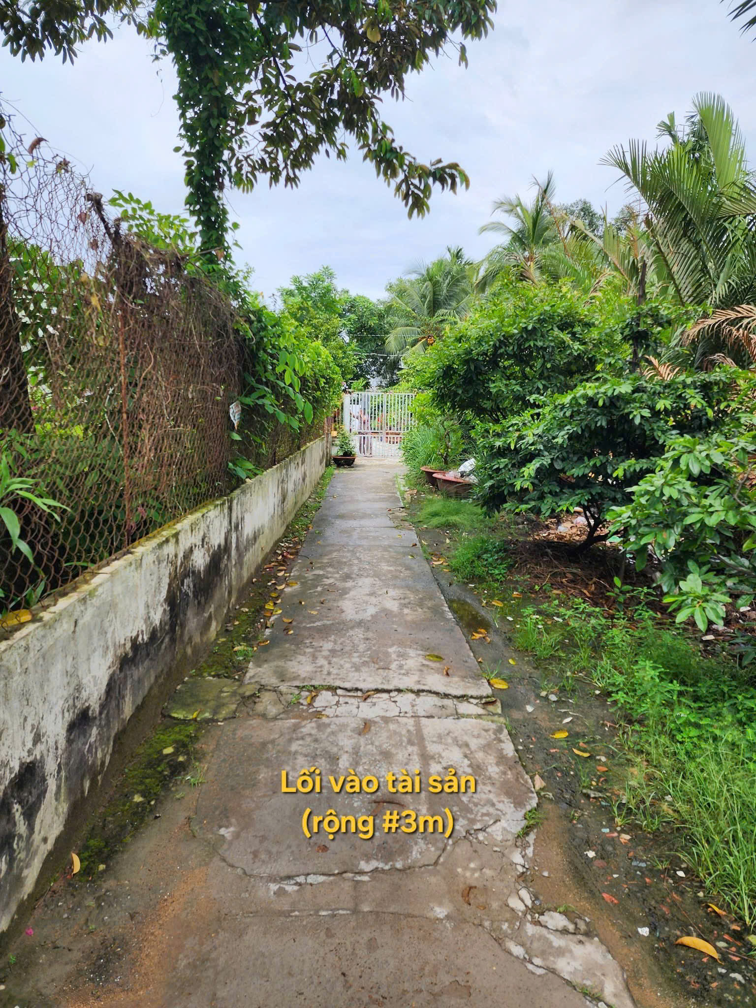Bán dãy 18 phòng trọ và nhà cấp 4 tại hẻm 3 Trần Vĩnh Kiết, An Bình, Cần Thơ Bán dãy 18 phòng trọ và nhà cấp 4 tại hẻm 3 Trần Vĩnh Kiết, An Bình, Cần Thơ